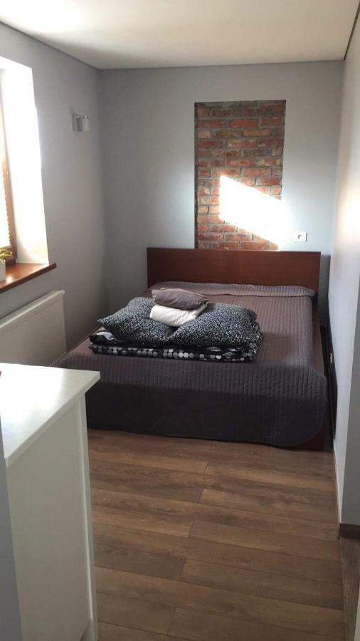 Owl Apartments Kaunas Extérieur photo